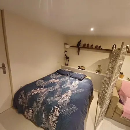 Apartment Studio Cosy Au Calme Toulon